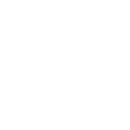 x-icon